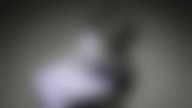 post_photo_18_v01